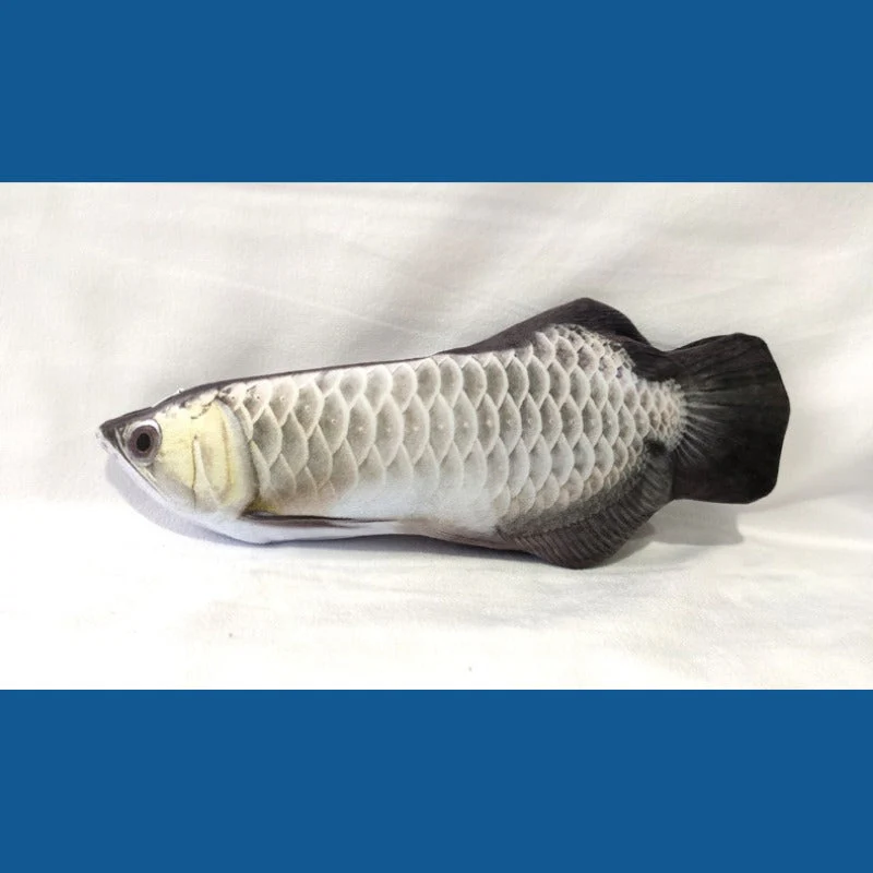 Realistic Fish Plush Toys for Cats - Image 12