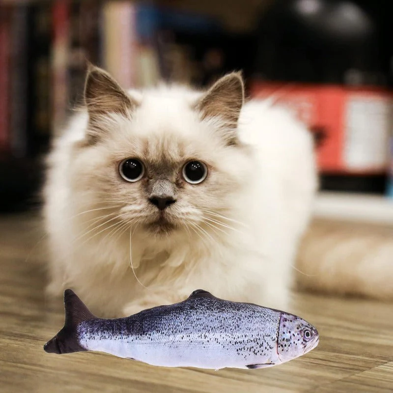 Realistic Fish Plush Toys for Cats - Image 4