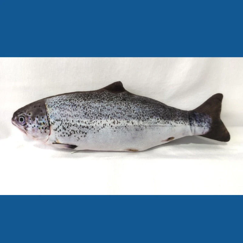Realistic Fish Plush Toys for Cats - Image 8