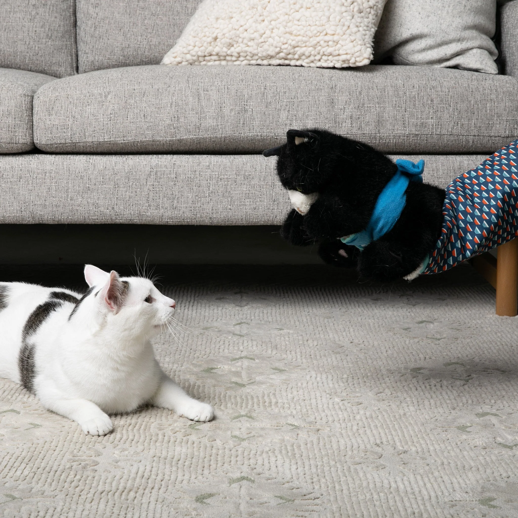 YoPoll Cat Wrestling Glove - Image 6