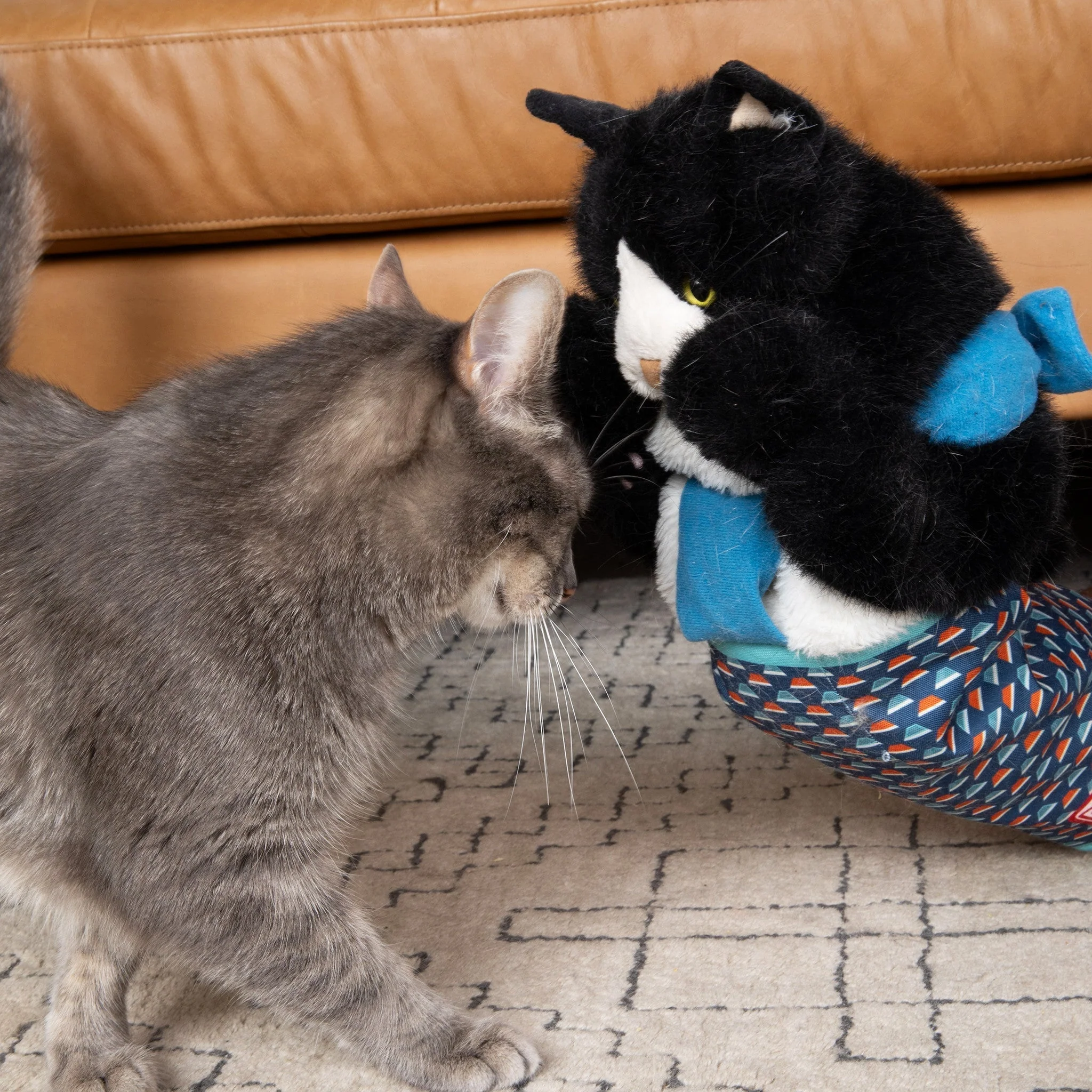 YoPoll Cat Wrestling Glove - Image 7