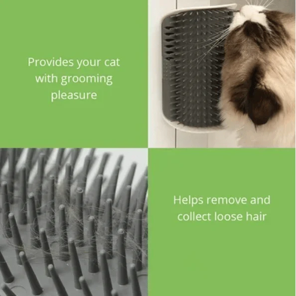 🔥🔥Cat Self Grooming Massage Toy Brush🌙 - Image 5