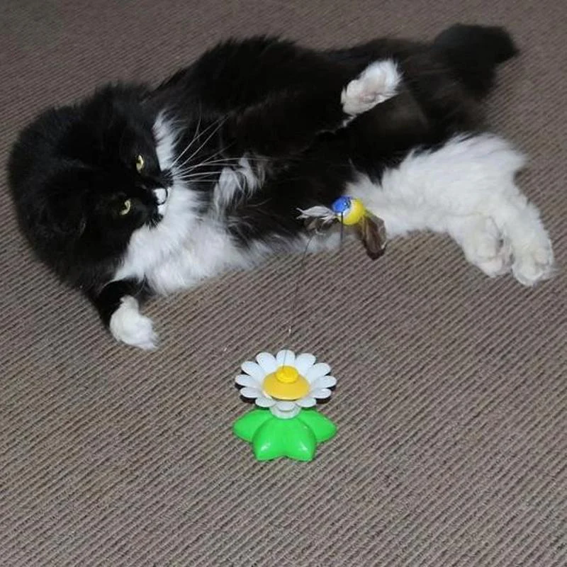 Interactive Flying Bird Cat Toy - Image 4