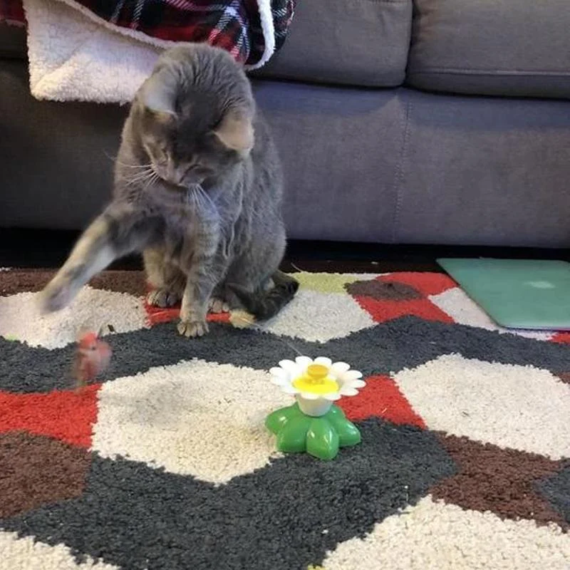 Interactive Flying Bird Cat Toy - Image 5