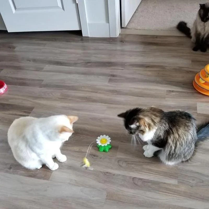 Interactive Flying Bird Cat Toy - Image 6