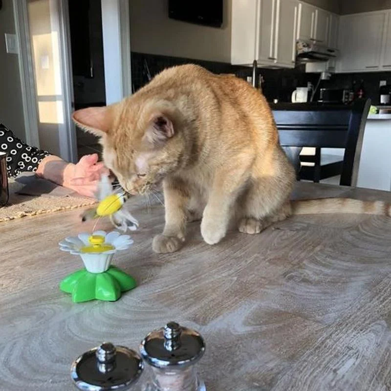 Interactive Flying Bird Cat Toy - Image 9