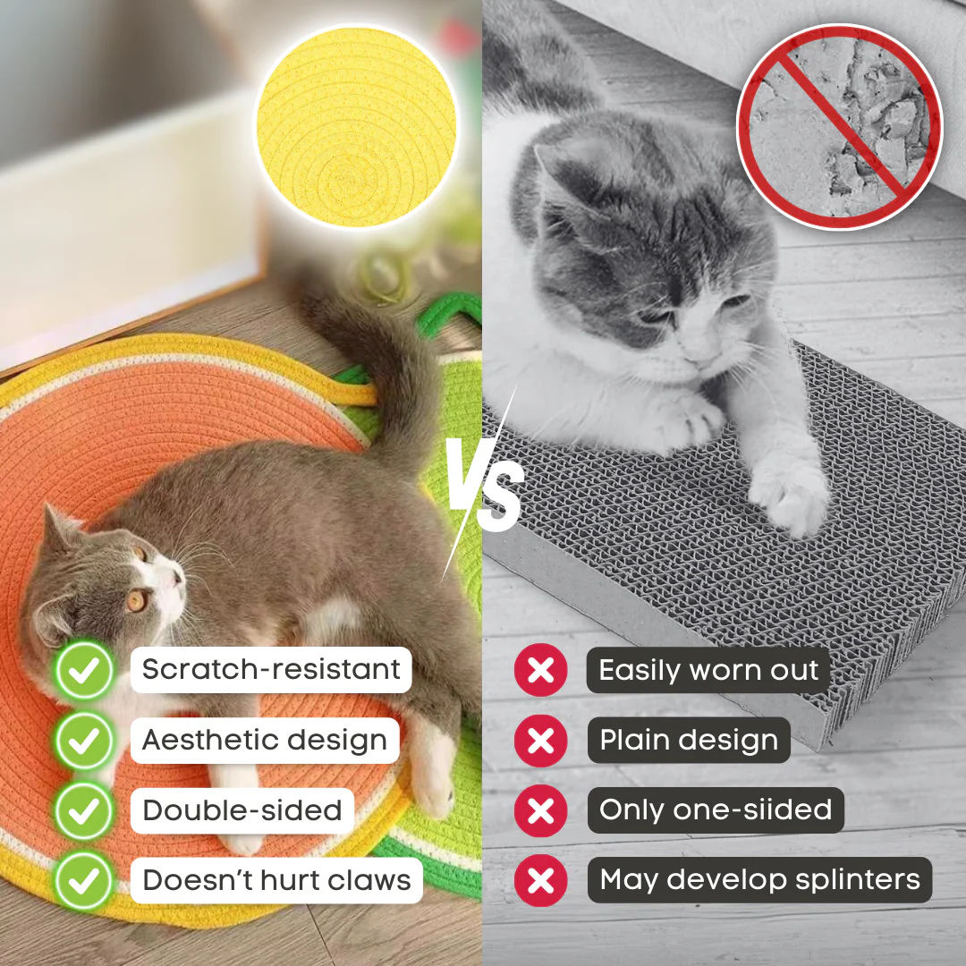 YoPoll Dual Scratching Pad - Image 3