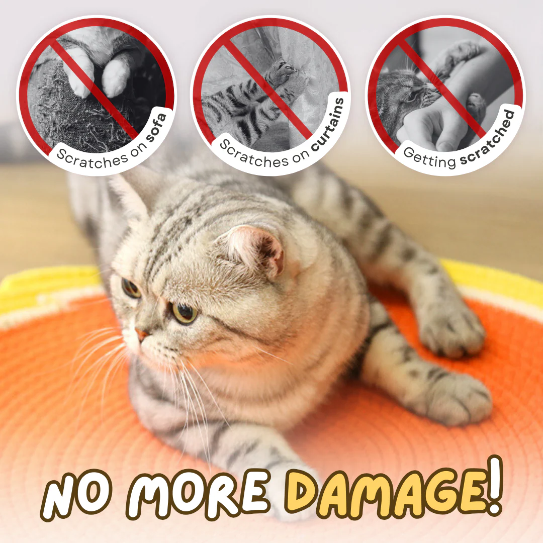 YoPoll Dual Scratching Pad - Image 4