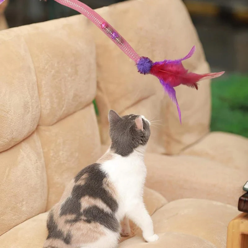 Durable Cat Chew Rope Toy - Image 3