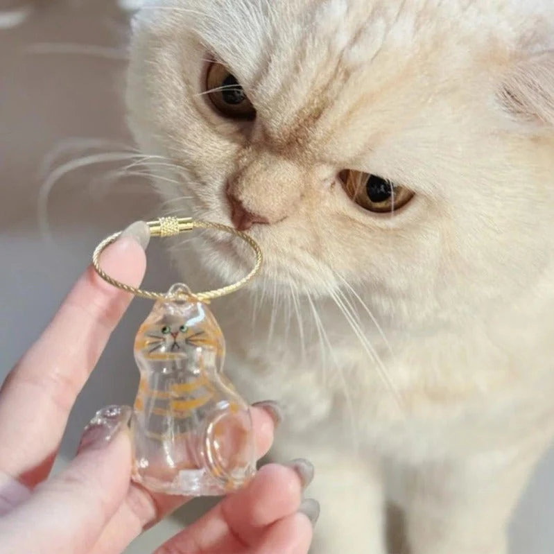 Yopoll Cat Memorial Keychain Set - Image 4