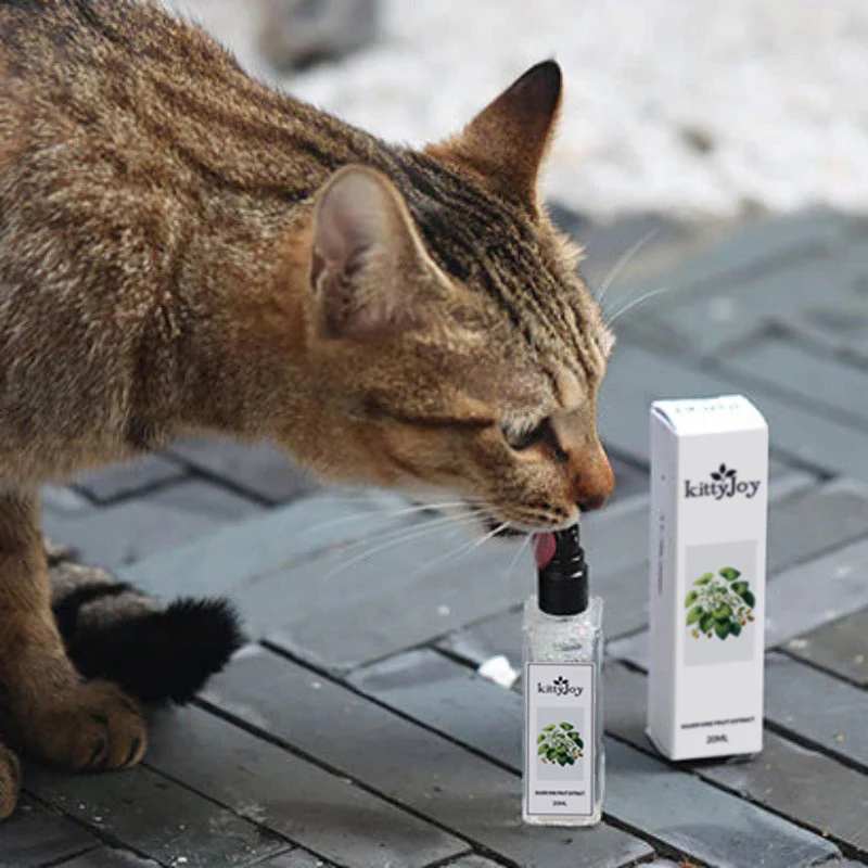 Herbal Cat Joy - Image 4