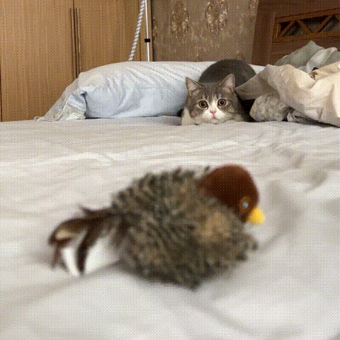YoPoll Interactive Chirping Bird Cat Toy - Image 10