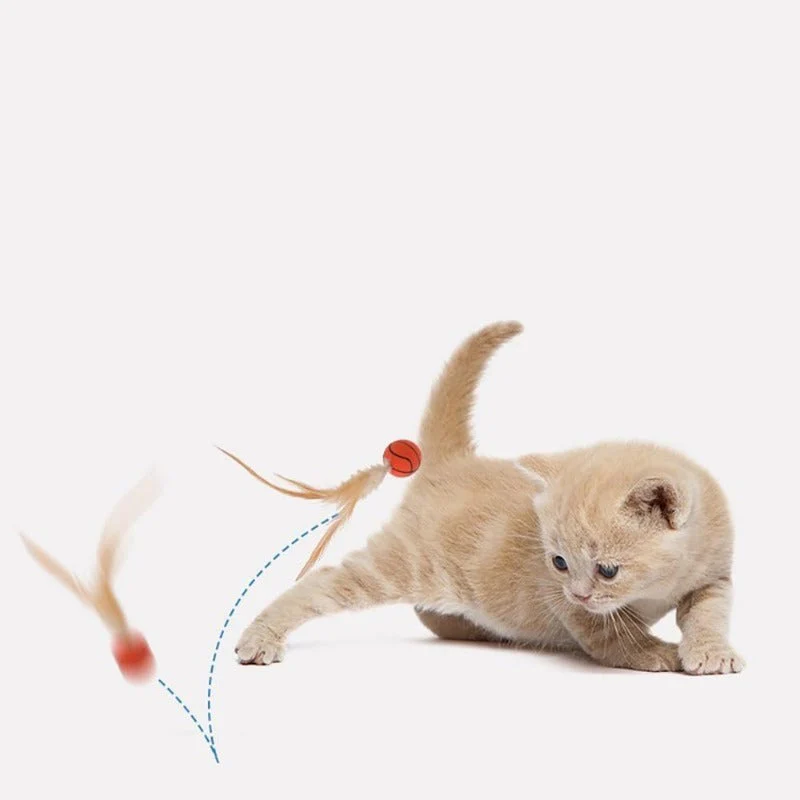 Interactive Feather Ball Toy Set for Cats - Image 5