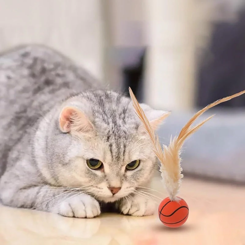 Interactive Feather Ball Toy Set for Cats - Image 6