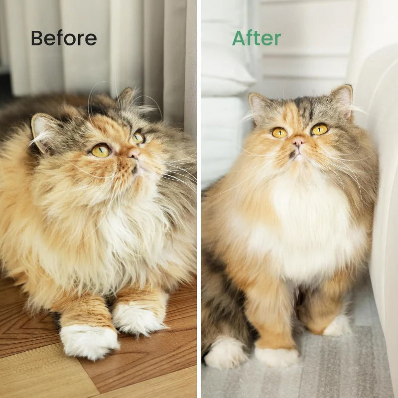 Pet Shedding & Grooming Brush with Skin-Safe Blades - Image 4