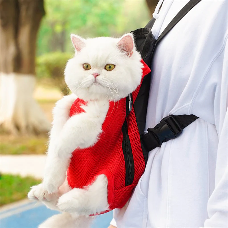 Pet Travel Leg-out Backpack🐶🐱 - Image 2