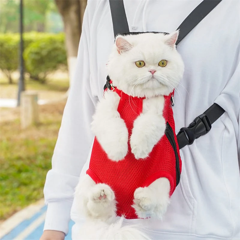 Pet Travel Leg-out Backpack🐶🐱 - Image 3