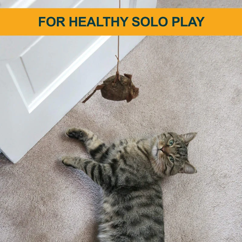 Realistic Mouse Cat Toy Set 2 Pieces - Image 6