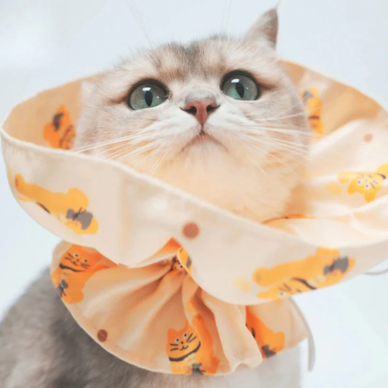 Safety Breakaway Cat Collar - Image 3