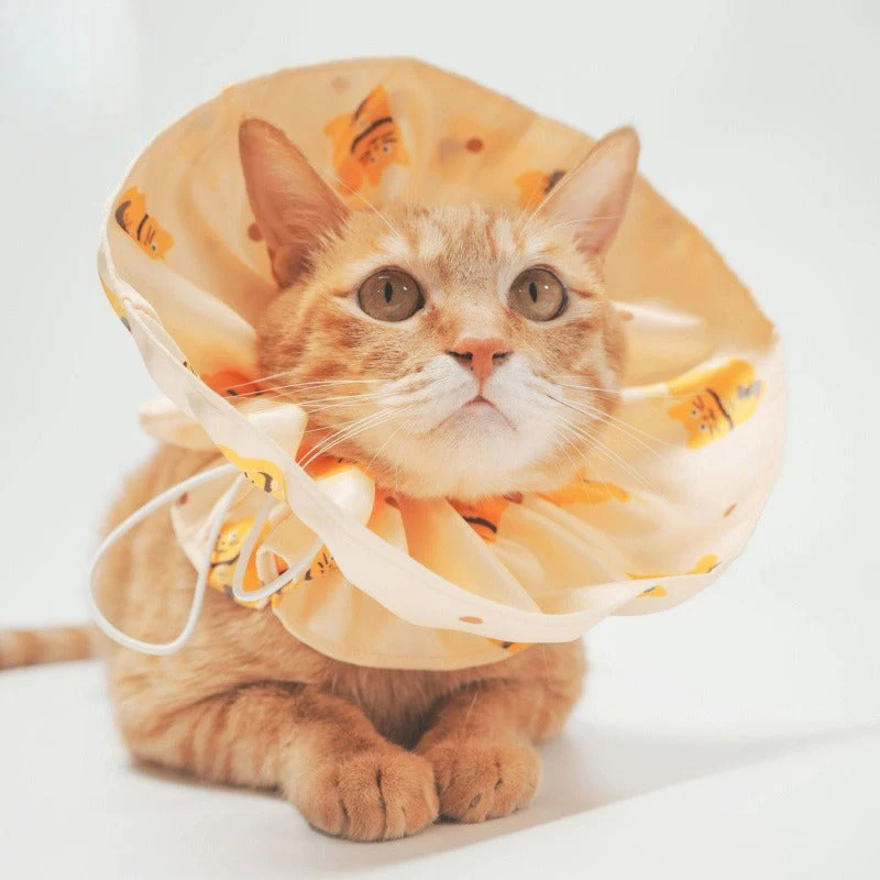Safety Breakaway Cat Collar - Image 5