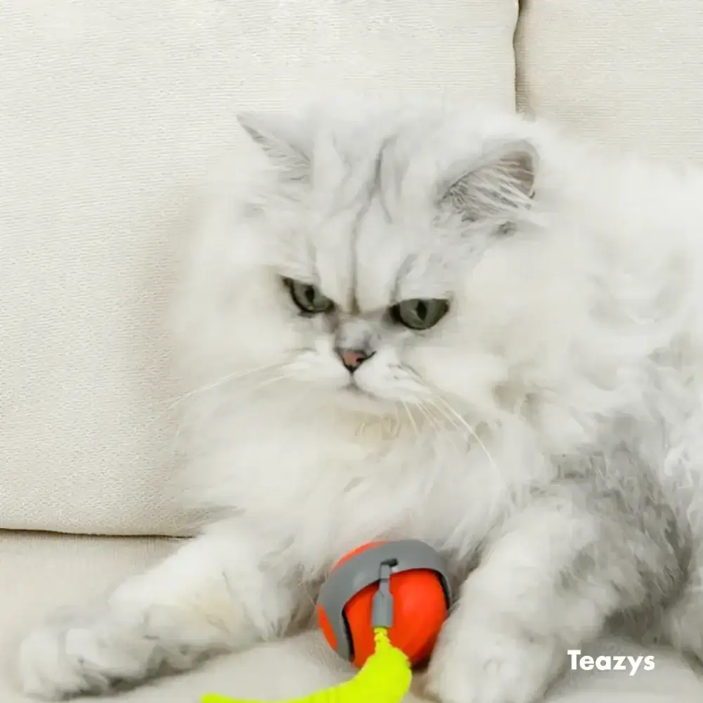 Interactive Cat Toy Ball - Image 8