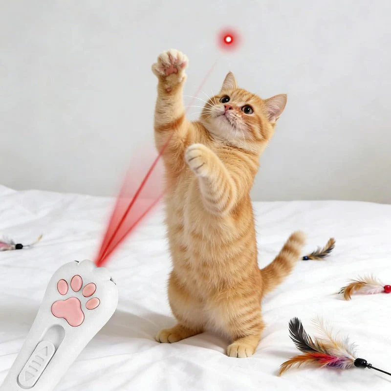 USB Rechargeable Cat Pointer - Image 4
